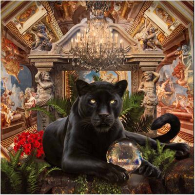 Rossi del Vino- Panther (Augmented Reality Artwork)