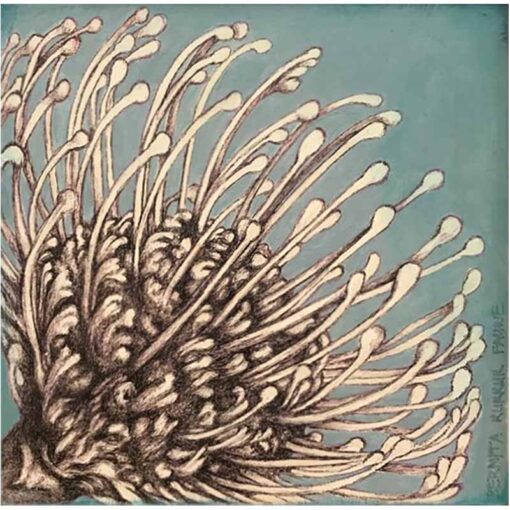 Bernita Kukkuk Faurie - Blue Pincushion Protea
