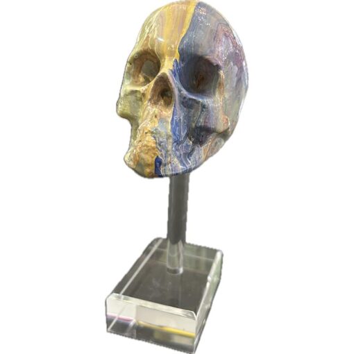 John Catlin - Resin Skull