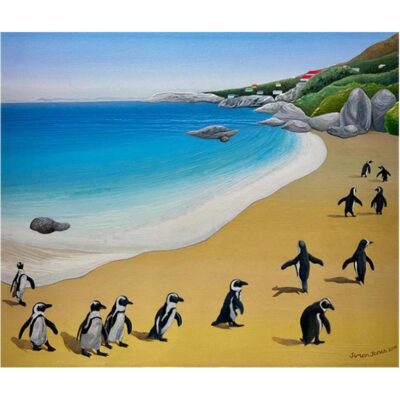 Simon Jones - Penguins, Boulders Beach